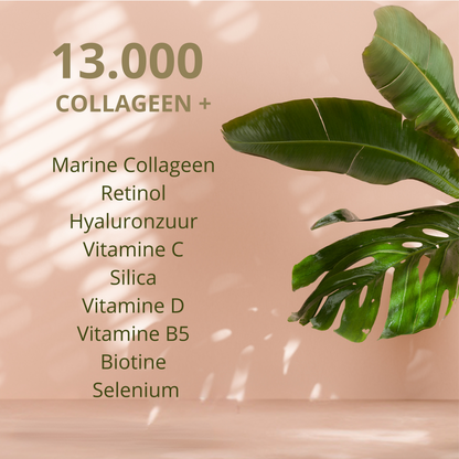 13.000 COLLAGEEN+